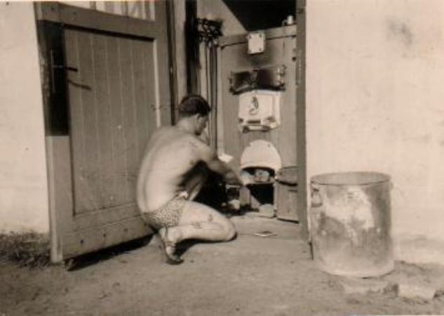 Images/Makes good toast.jpg